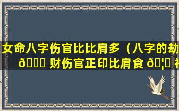 女命八字伤官比比肩多（八字的劫 💐 财伤官正印比肩食 🦅 神）